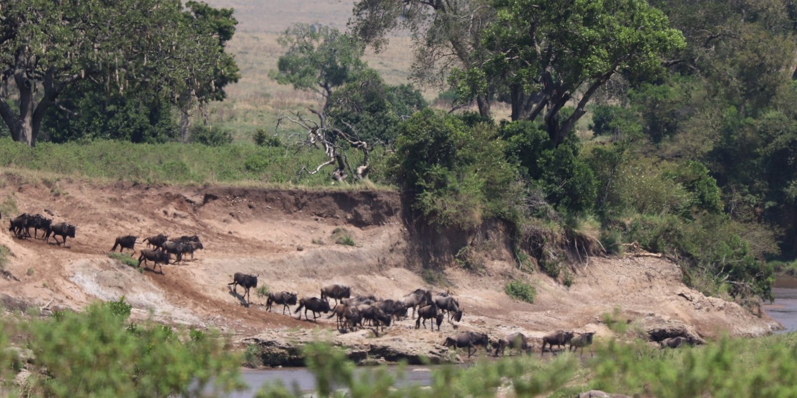  Ngorongoro craters 1